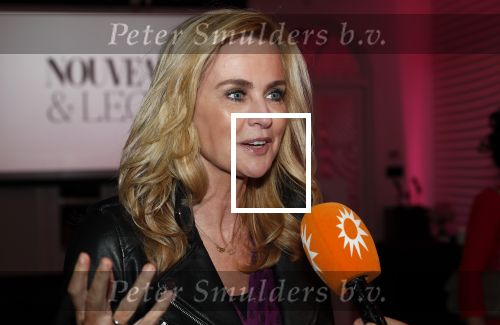 Amsterdam 12 november 2019
Presentatie nieuwe Nouveau met Leco v Zadelhoff als gast hoofdredakteur. De presentatie vond plaats in hotel The Dylan . Daphne Deckers