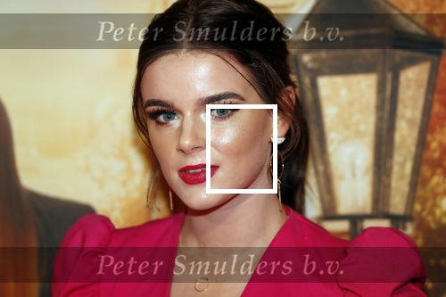 Amsterdam 14 oktober 2019
Premiere Wat is dan liefde in Tuschinski. 
Dianne v d Eng
