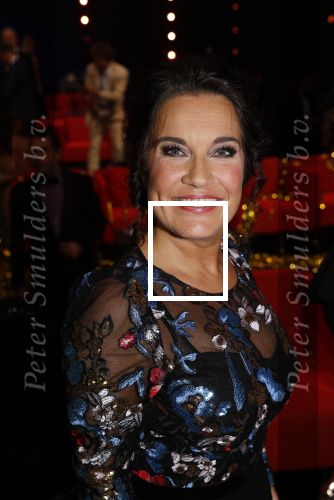 Amsterdam 9 oktober 2019
Uitreiking televizierring 2019 in AFAS Live. Herman van der Zandt en Dione de Graaff