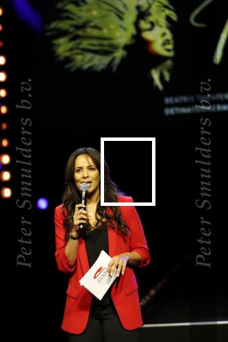 Utrecht 21 oktober 2019
Castpresentatie Tina Turner Musical, Dyantha Brooks met Albert Verlinde