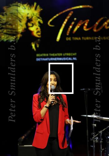 Utrecht 21 oktober 2019
Castpresentatie Tina Turner Musical, Dyantha Brooks met Albert Verlinde