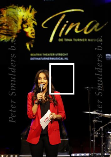 Utrecht 21 oktober 2019
Castpresentatie Tina Turner Musical, Dyantha Brooks met Albert Verlinde