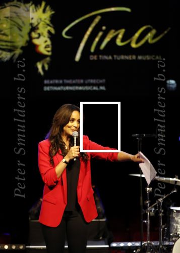 Utrecht 21 oktober 2019
Castpresentatie Tina Turner Musical, Dyantha Brooks met Albert Verlinde