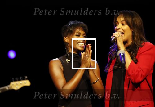 Utrecht 21 oktober 2019
Castpresentatie Tina Turner Musical, Dyantha Brooks met Albert Verlinde