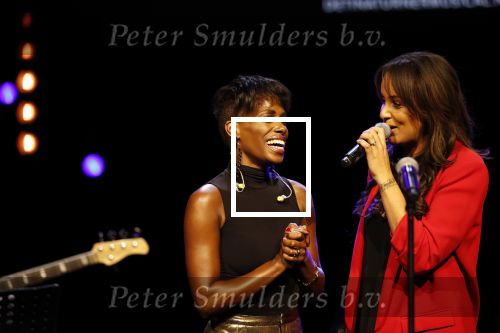 Utrecht 21 oktober 2019
Castpresentatie Tina Turner Musical, Dyantha Brooks met Albert Verlinde