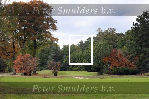 Valkenswaard, 12 Oktober 2019
Eindhovensche golfbaan