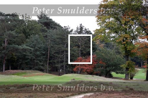 Valkenswaard, 12 Oktober 2019
Eindhovensche golfbaan