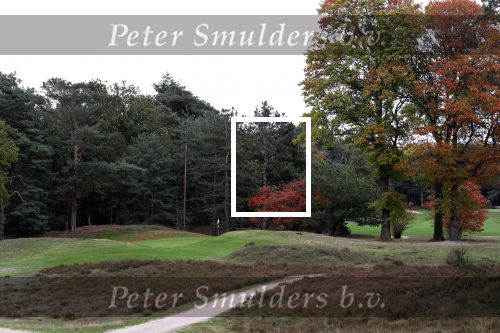 Valkenswaard, 12 Oktober 2019
Eindhovensche golfbaan