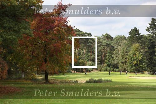 Valkenswaard, 12 Oktober 2019
Eindhovensche golfbaan