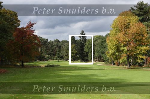 Valkenswaard, 12 Oktober 2019
Eindhovensche golfbaan