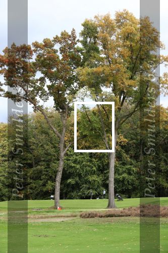 Valkenswaard, 12 Oktober 2019
Eindhovensche golfbaan