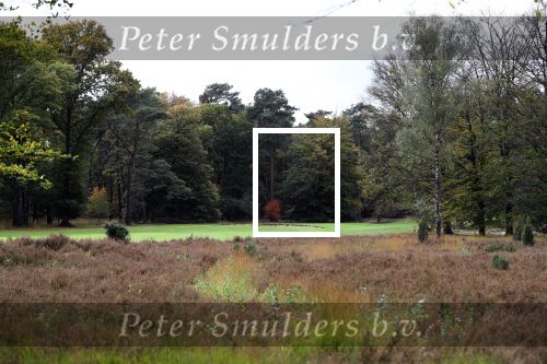 Valkenswaard, 12 Oktober 2019
Eindhovensche golfbaan