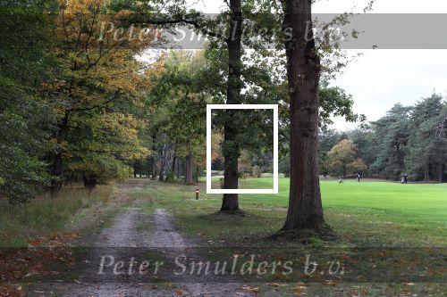 Valkenswaard, 12 Oktober 2019
Eindhovensche golfbaan
