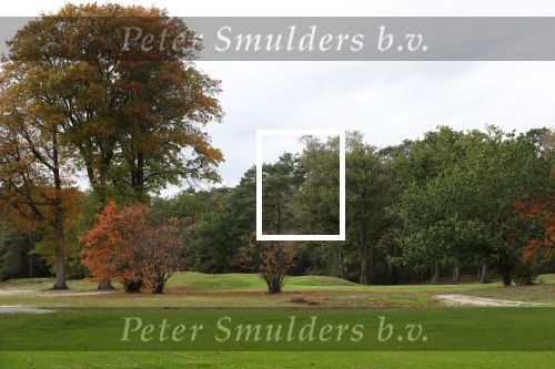 Valkenswaard, 12 Oktober 2019
Eindhovensche golfbaan