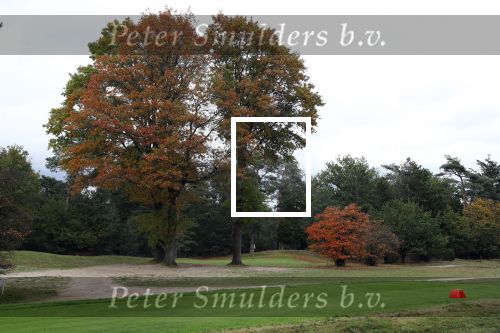 Valkenswaard, 12 Oktober 2019
Eindhovensche golfbaan