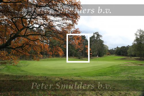 Valkenswaard, 12 Oktober 2019
Eindhovensche golfbaan