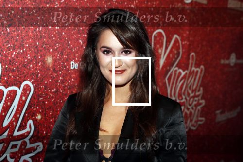 Amsterdam 11 november 2019
Premiere Kinky boots in theater de Meervaart. Esmee Dekker met â€¦