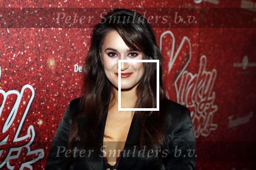 Amsterdam 11 november 2019
Premiere Kinky boots in theater de Meervaart. Esmee Dekker met â€¦