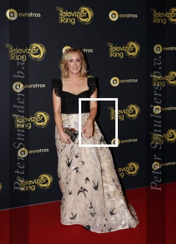 Amsterdam 9 oktober 2019
Uitreiking televizierring 2019 in AFAS Live