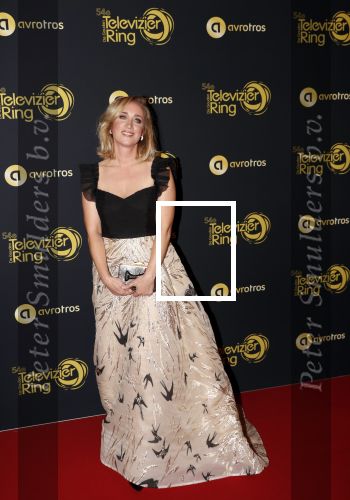 Amsterdam 9 oktober 2019
Uitreiking televizierring 2019 in AFAS Live. Eva Jinek kwam met haar manager Kristien v Dillen