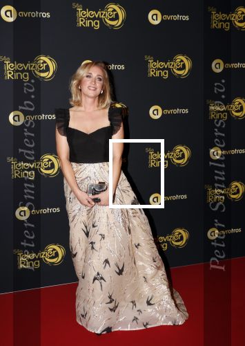 Amsterdam 9 oktober 2019
Uitreiking televizierring 2019 in AFAS Live