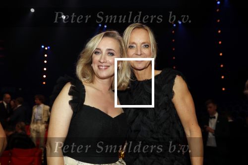 Amsterdam 9 oktober 2019
Uitreiking televizierring 2019 in AFAS Live
