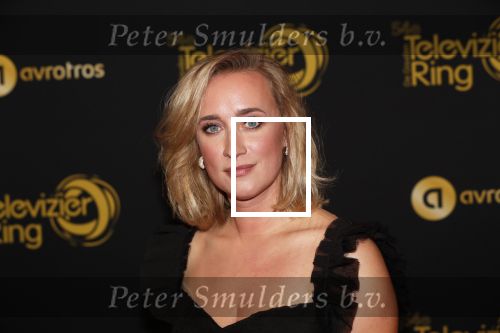 Amsterdam 9 oktober 2019
Uitreiking televizierring 2019 in AFAS Live