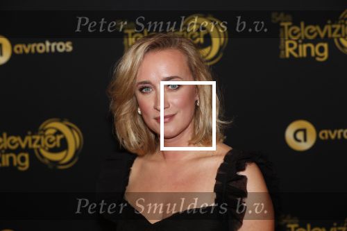 Amsterdam 9 oktober 2019
Uitreiking televizierring 2019 in AFAS Live