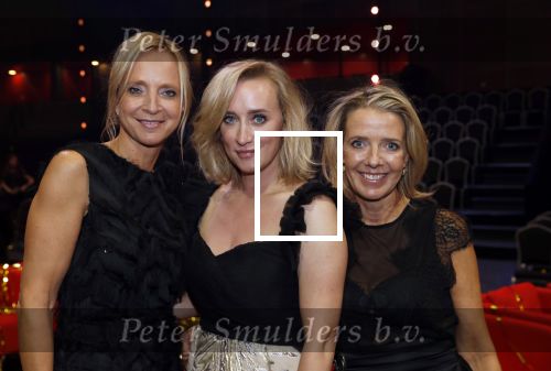 Amsterdam 9 oktober 2019
Uitreiking televizierring 2019 in AFAS Live. Floortje Dessing Kristien v Dillen en Eva Jinek