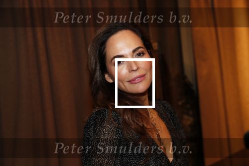 Amsterdam 12 november 2019
lancering van het boek Two Faces van Ali Pirayesh in the Dutchess.
Evelyn Struik met Sander Janson en Mark Teurlings
