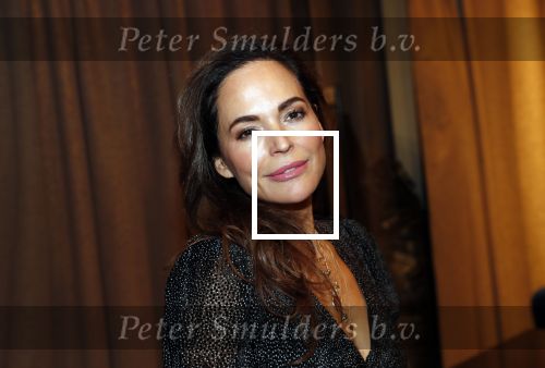 Amsterdam 12 november 2019
lancering van het boek Two Faces van Ali Pirayesh in the Dutchess.
Evelyn Struik met Sander Janson en Mark Teurlings
