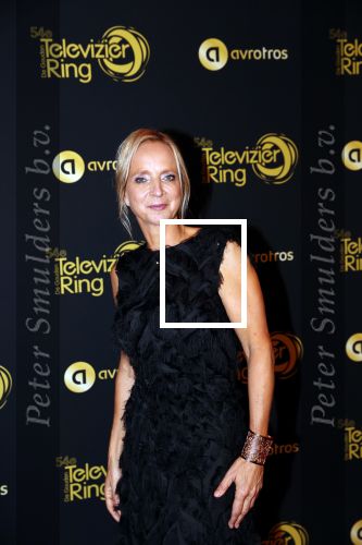 Amsterdam 9 oktober 2019
Uitreiking televizierring 2019 in AFAS Live. Floortje Dessing