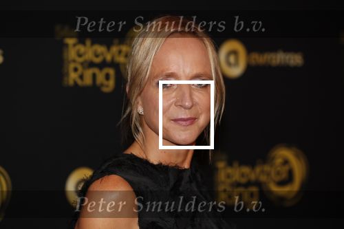 Amsterdam 9 oktober 2019
Uitreiking televizierring 2019 in AFAS Live. Floortje Dessing