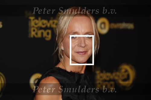 Amsterdam 9 oktober 2019
Uitreiking televizierring 2019 in AFAS Live. Floortje Dessing