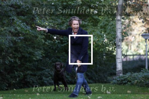 Den Haag 24 oktober 2019
Frank Jansen en Rogier Smit ( Paleis voor een prikkie) laten hun honden uit. Frank en Rogier