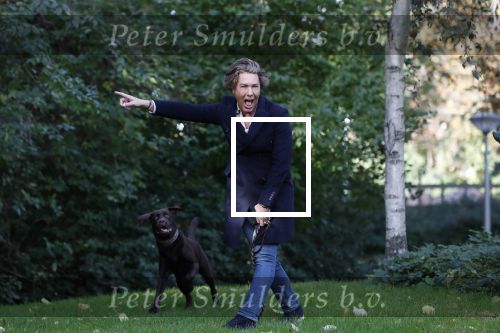 Den Haag 24 oktober 2019
Frank Jansen en Rogier Smit ( Paleis voor een prikkie) laten hun honden uit. Frank en Rogier