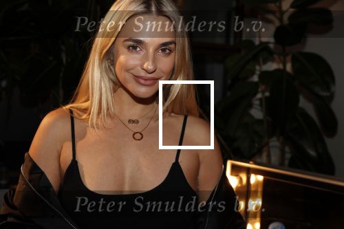Amsterdam 30 oktober 2019
Premiere house of no Limits. gaby Blaaser