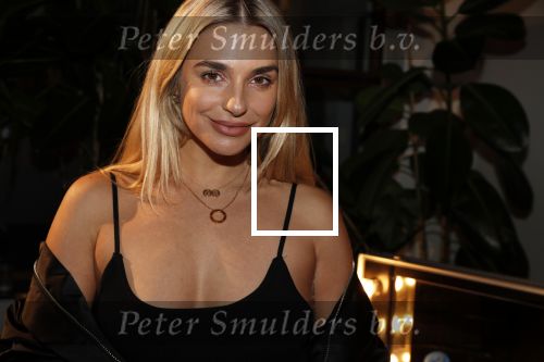 Amsterdam 30 oktober 2019
Premiere house of no Limits. gaby Blaaser
