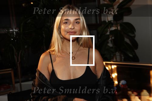 Amsterdam 30 oktober 2019
Premiere house of no Limits. gaby Blaaser
