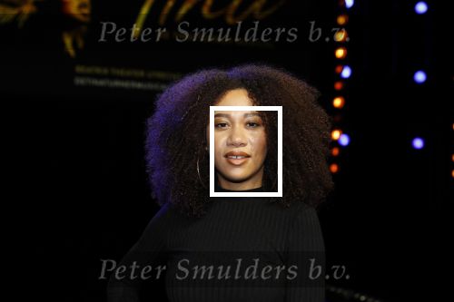 Utrecht 21 oktober 2019
Castpresentatie Tina Turner Musical, Gaia Aikman