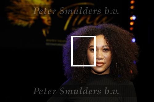 Utrecht 21 oktober 2019
Castpresentatie Tina Turner Musical, Gaia Aikman