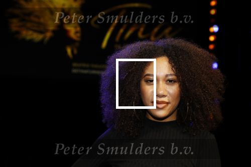 Utrecht 21 oktober 2019
Castpresentatie Tina Turner Musical, Gaia Aikman