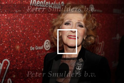 Amsterdam 11 november 2019
Premiere Kinky boots in theater de Meervaart. Gerrie v d Klei met een kennis
