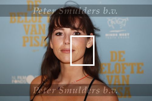 Amsterdam 7 oktober 2019
Premiere de belofte van Pisa in Tuschinski. Gwen v Poorten