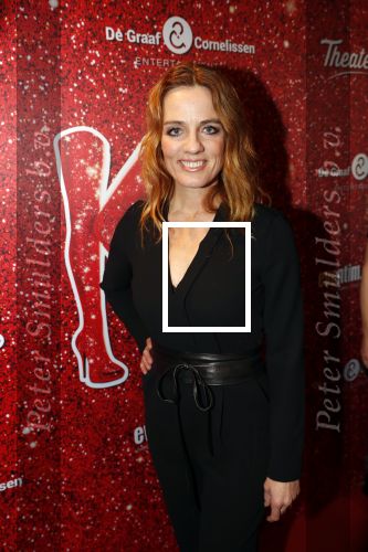 Amsterdam 11 november 2019
Premiere Kinky boots in theater de Meervaart. iLse Warringa kwam met Rop Verheijen