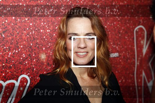 Amsterdam 11 november 2019
Premiere Kinky boots in theater de Meervaart. iLse Warringa kwam met Rop Verheijen