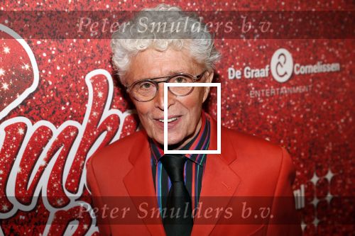 Amsterdam 11 november 2019
Premiere Kinky boots in theater de Meervaart. jacques d Ancona