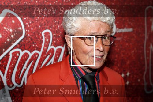 Amsterdam 11 november 2019
Premiere Kinky boots in theater de Meervaart. jacques d Ancona