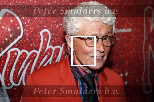 Amsterdam 11 november 2019
Premiere Kinky boots in theater de Meervaart. jacques d Ancona