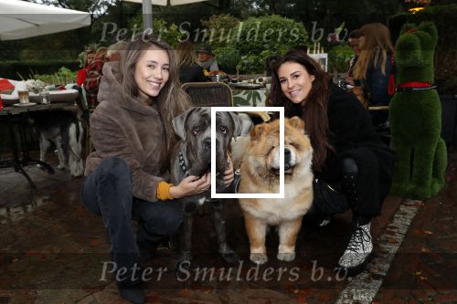 Blaricum 4 oktober 2019
Dierendag met een ontbijt voor de hondjes georganiseerd door Rosanna Kluivert en Nino Wilkes. Anouk Smulders presenteert het. Julia Mekkes en Ann Dominique Wilten